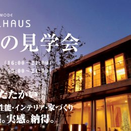 夜の見学会