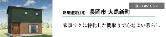 グリーンスタイル 長岡市 新潟市 建築実例 見学会 リビング