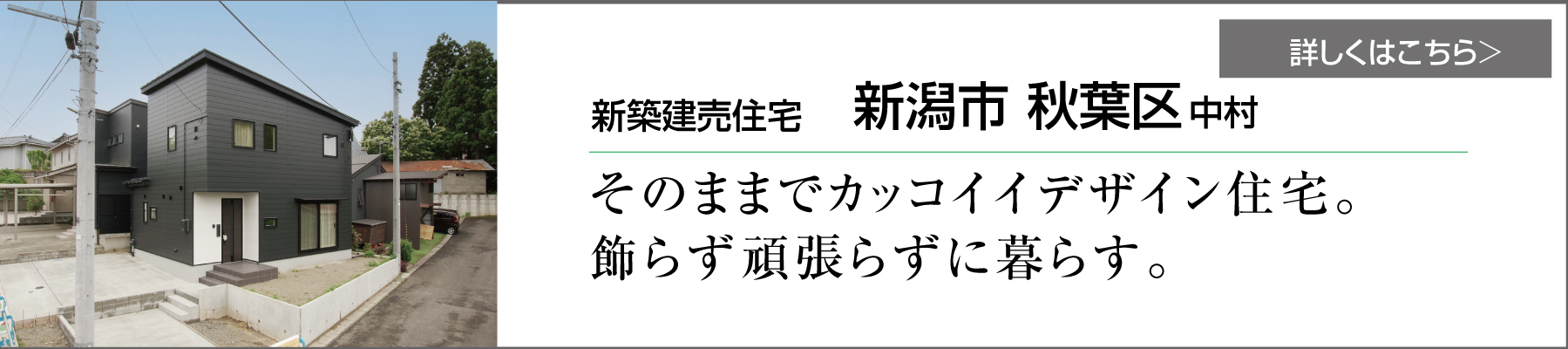 グリーンスタイル 長岡市 新潟市 建築実例 見学会 リビング 新築 建売住宅