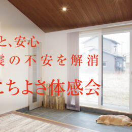 グリーンスタイル 新潟市 建築実例 平屋 インテリア デザイン リビング ウッドデッキ タタミコーナー リビング 暖房体験会 見学会 耐震 地震 地震につよい家