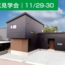 外観 ガルバリウム鋼板 外壁 掃出し窓 外構