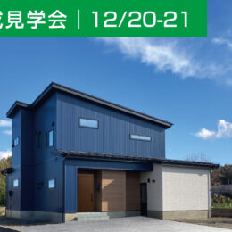 外観 ガルバリウム鋼板 外壁 掃出し窓 外構