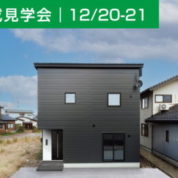 外観 ガルバリウム鋼板 外壁 掃出し窓 外構