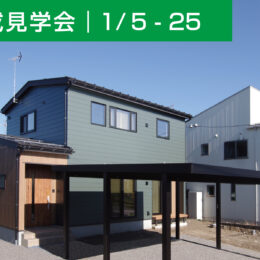 外観 ガルバリウム鋼板 外壁 掃出し窓 外構